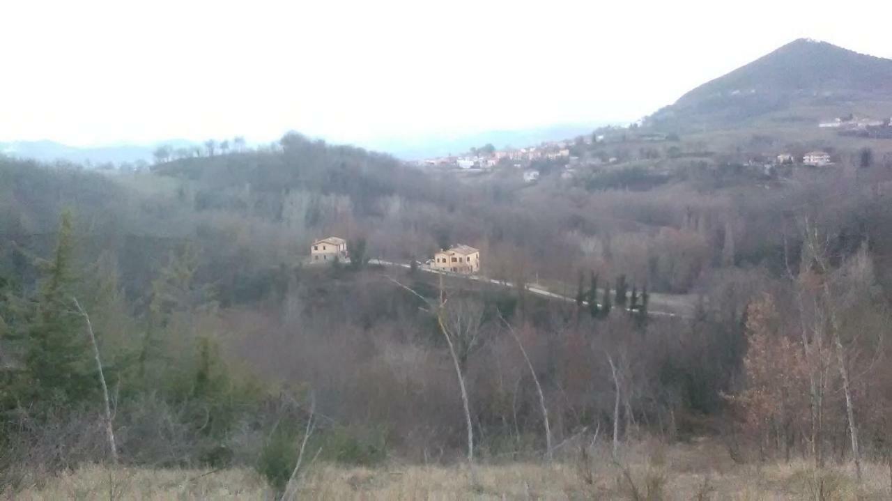 Il Gelso Rosso Apartment Comunanza Bagian luar foto