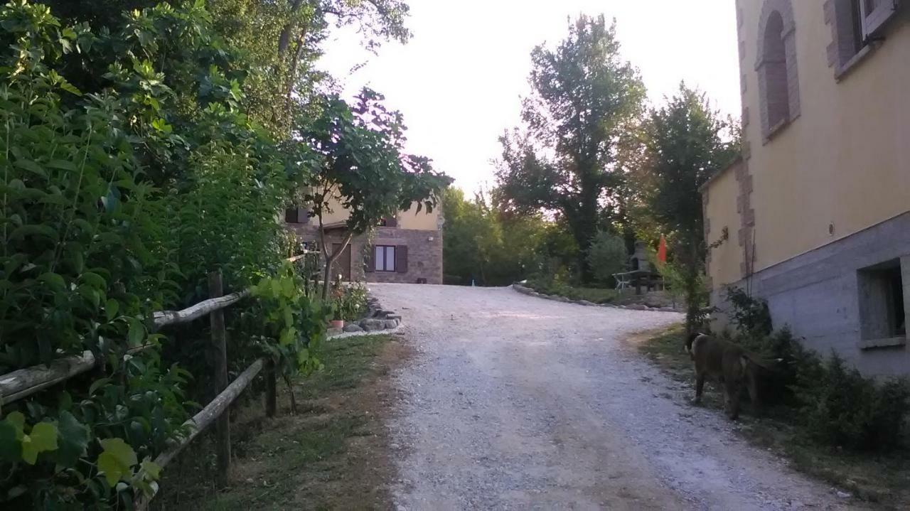 Il Gelso Rosso Apartment Comunanza Bagian luar foto