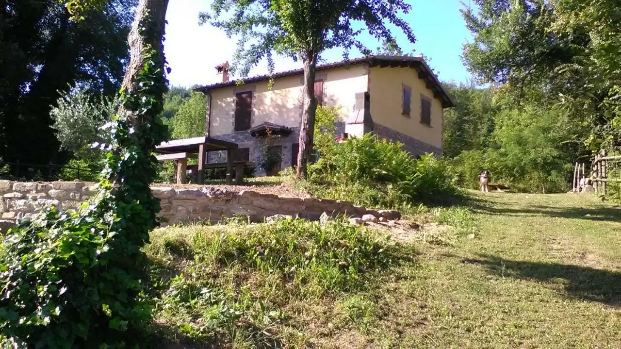 Il Gelso Rosso Apartment Comunanza Bagian luar foto