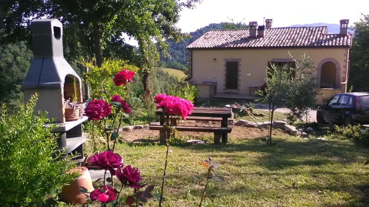 Il Gelso Rosso Apartment Comunanza Bagian luar foto